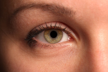 texture of the human eye closeup