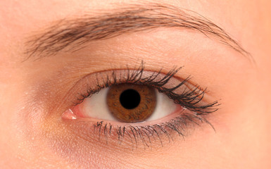 texture of the human eye closeup