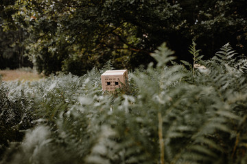 Self-isolation. Human without a face. Urban landscape. Without a head. Box. A mountain of junk.