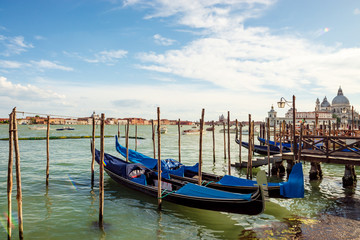 St. Mark's Square in Venice. Tall bell tower on a sunny day.