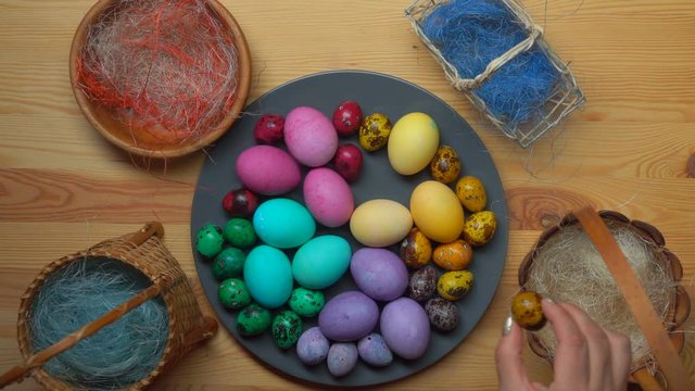 Easter preparations: top view on the female hands placing multi-colored Easter chicken and quail eggs on the grey plate