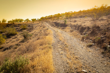 rural path down a slope to El Berral (Lanteira field) at sunrise,  Province of Granada, Andalusia, Spain