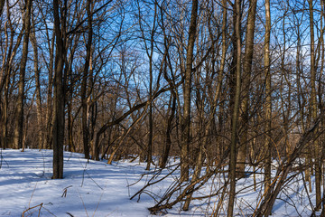 St-Charles River in winter day - Quebec