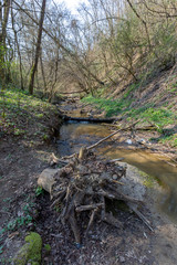 Small creek in the Buda mountains near the village Solymar, Hungary.