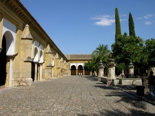 Obraz premium Cordoba, Spain, Mezquita, Patio de los Naranjos