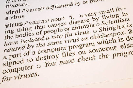 Viral And Virus Words Meaning And Definition Text In English Dictionary Close Up Text Of Viral And Virus Words Stock Photo Adobe Stock