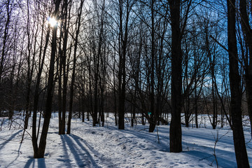 St-Charles River in winter day - Quebec