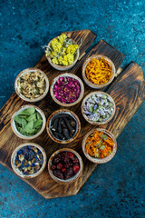leaves, cepesia, mushrooms of different colors on a blackboard on a blue background