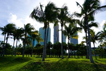 Miami Skyscraper