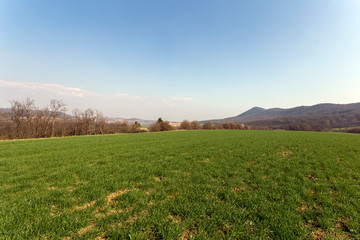Green field in the Buda mountains, near Solymar, Hungary.