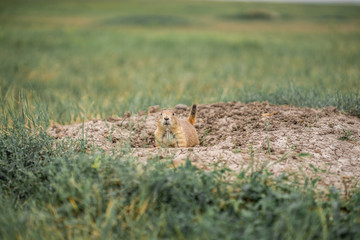 Badlands National Park in South Dakota
