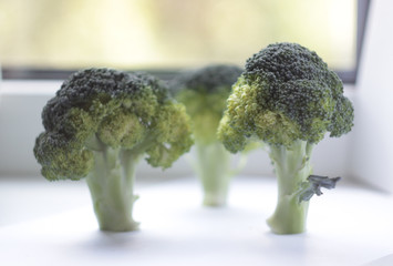 broccoli on white background