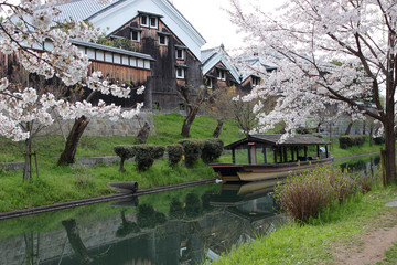 京都　伏見　桜と船と酒蔵