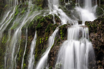 Fototapeta na wymiar Green Waterfall Close-Up New Zealand Bush