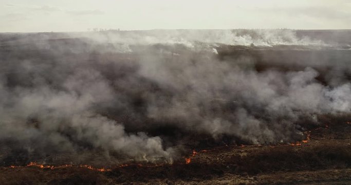 Large-scale fire in the field. Burns a lot of grass and trees. Aerial shot.