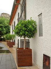 city on the Mediterranean, authentic, picturesque street