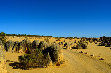 Fototapeta na wymiar Pinnacles desert