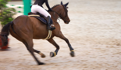 Obraz premium A rider on a beautiful brown horse rides around obstacles, motion blur, focus on the rider's boot