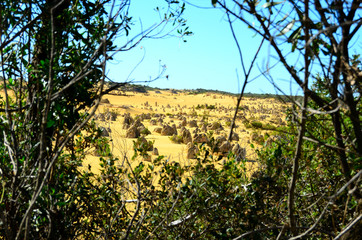 Pinnacles desert