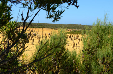 Pinnacles desert