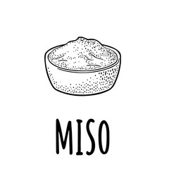 Miso. Vector black vintage engraving illustration isolated on white background