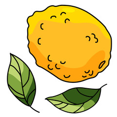 Lemon sticker set on white isolated backdrop. Citrus and leaves for gift card, healthy food shop logo, bath tile, juice pack. Phone case or cloth print art. Hand drawn style stock vector illustration