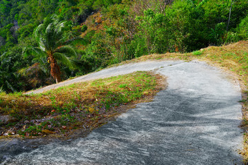 Tropical country road mountain serpantin. The road swing in the rain forest.