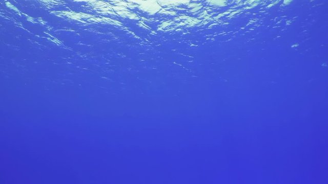 海から見上げた水面　海面の波　ロタ島