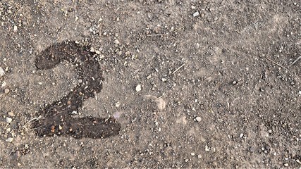 NUMBER 2 WITH SANDY BACKGROUND.