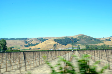 Fototapeta premium Paisaje 