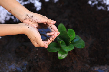 Children hand Plant a tree and watering the young tree