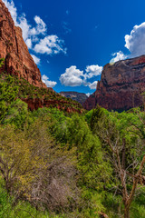 Fototapeta na wymiar View of Zion Canyon seen from the Emerald Pools Trail, Zion National Park, Utah, USA