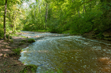 Obraz premium Wide view of small Baird Creek waterfall and rapids, flowing over the Niagara Escarpment at Baird Creek, Baird Creek Parkway, Green Bay, WI. Spring, summer rushing water.