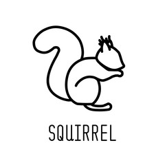 Squirrel line icon. Vector illustration.