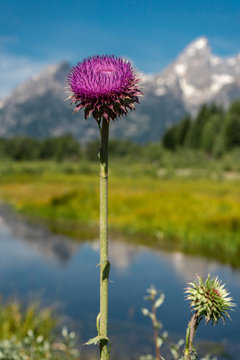 Grand Teton National Park, Wyoming