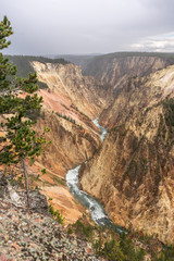 Yellowstone National Park