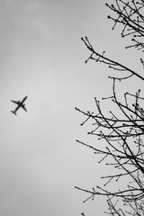Aircraft flying over Central Park on snow day branches