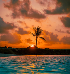 sunset sun beach palm tree tropical caribbean sky ocean florida miami clouds summer island landscape nature dusk sunrise orange coast vacation prints © Alberto GV PHOTOGRAP