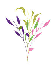 Isolated natural leaves vector design