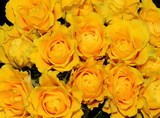 Big bouquet of yellow roses