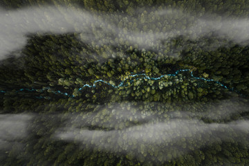 over view birds eye view of a green forest with a stream above the clouds