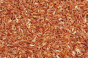 Red jasmine rice  High quality organic rice from Thailand