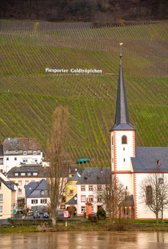 famous vineyards of piesport