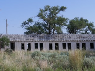 Fototapeta na wymiar Ruins a dilapidated structure covered by shrubs at Glenrio, one of America's ghost towns.