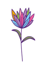Isolated natural flower vector design