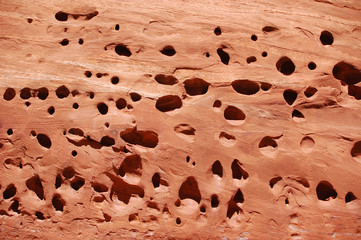 Sandstone texture in Bears Ears wilderness of Southern Utah.
