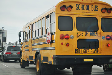 Naklejka na ściany i meble Rear view of school bus on the road