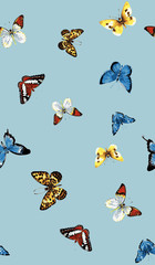a variety of feminine blue butterfly patterns