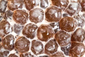 A glass cup of pearl milk tea (also called bubble tea) and a plate of tapioca ball on wooden background. Pearl milk tea is the most representative drink in Taiwan. Taiwan food . With copy space.