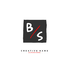 B S BS Initial logo template vector. Letter logo concept